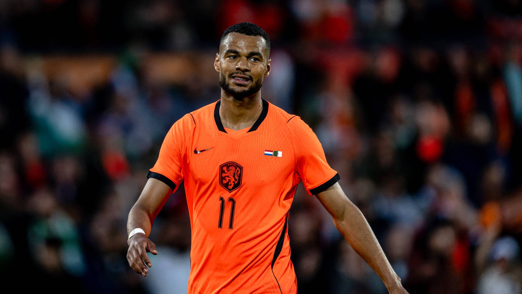 Cody Gakpo of the Netherlands during the 2026 World Cup friendly match between the Netherlands and Algeria at Stadium De Kuip in Rotterdam, the Netherlands, on June 3, 2026. (Photo by Stefan Koops/EYE4IMAGES/NurPhoto)
