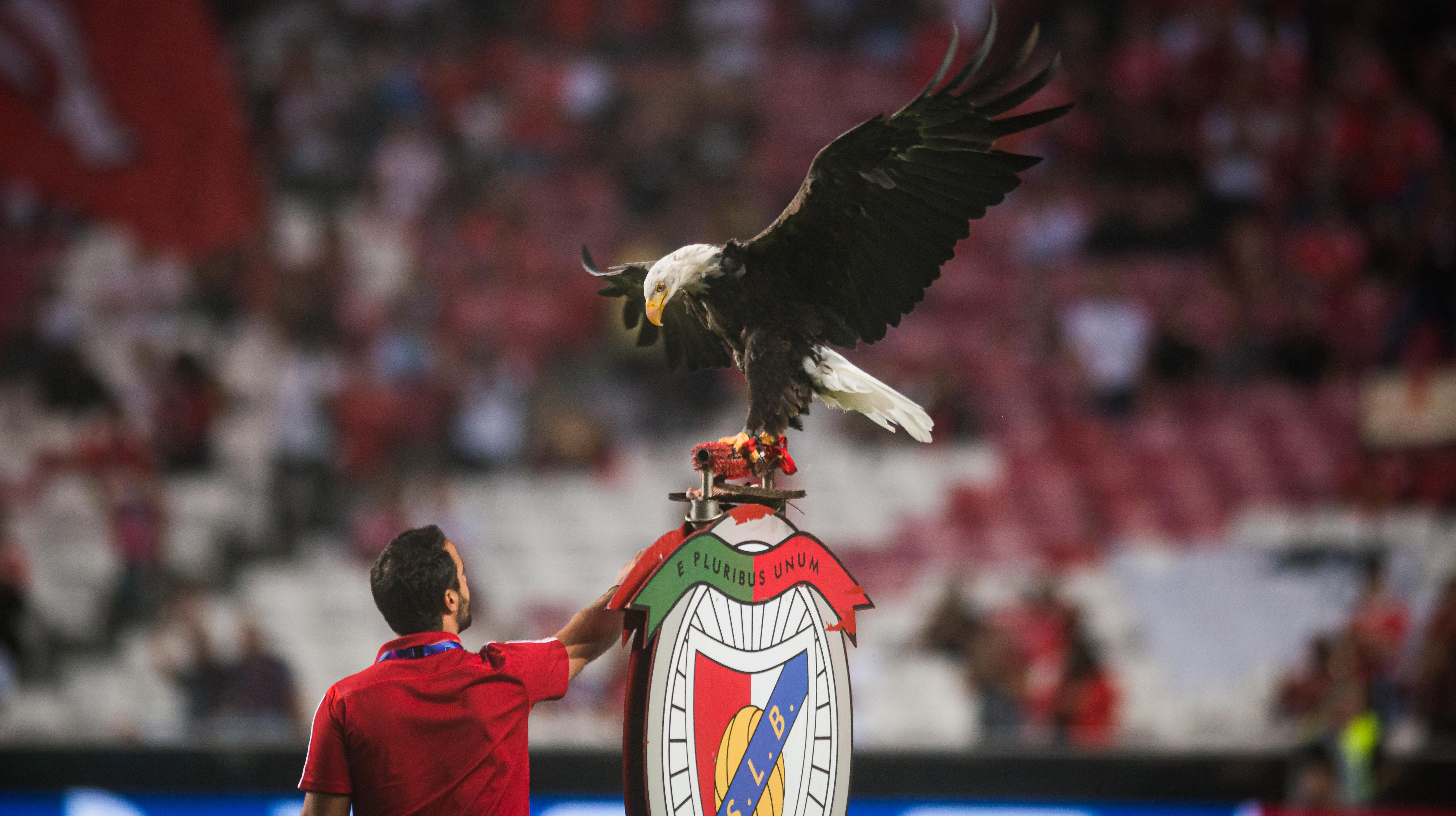 A Benfica kabalája és gondozója.